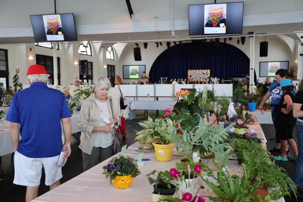 Ocean City New Jersey Flower Show