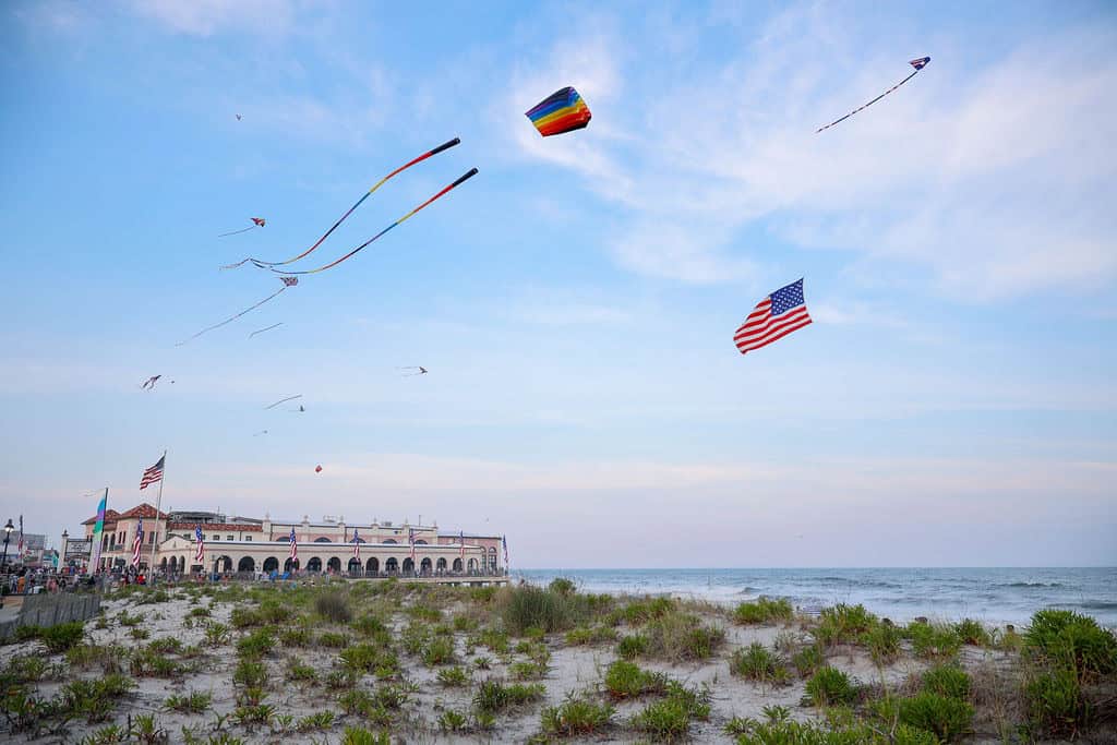 OCNJ Local- July events