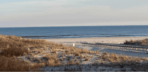 Ocean City Dunes